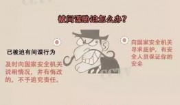 国家安全最新爆料信息,揭秘神秘爆料背后的真相