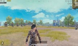 新军军需爆料最新消息,揭秘最新军事装备与战略动向